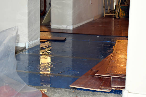 Professional Basement Flood Cleanup technician working in Waynesboro, VA